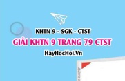 Giải KHTN 9 trang 79 Chân trời sáng tạo SGK